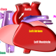 Incredible Facts about Human Heart in Hindi