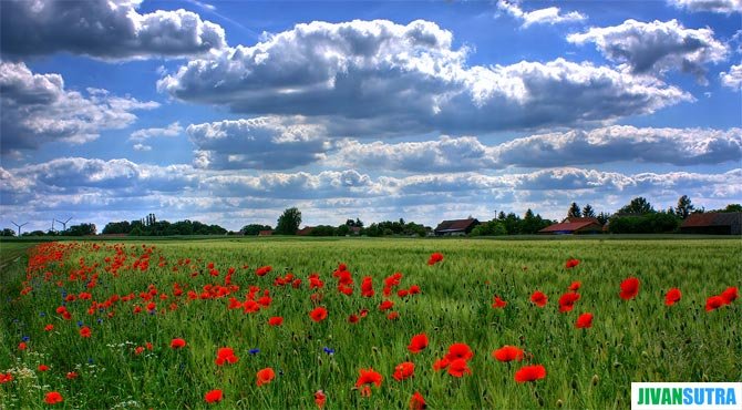 Life Quotes in Hindi