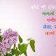 Truth Quotes and Story in Hindi
