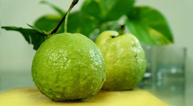 Amazing Health Benefits of Guava in Hindi