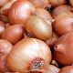 Surprising Health Benefits of Onions in Hindi