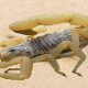 Most Dangerous Scorpions in World in Hindi