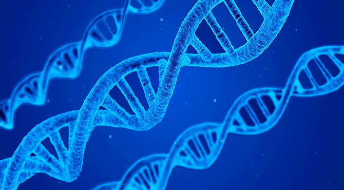 Incredible Facts about Human DNA in Hindi