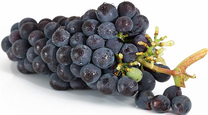 Incredible Health Benefits of Grapes in Hindi