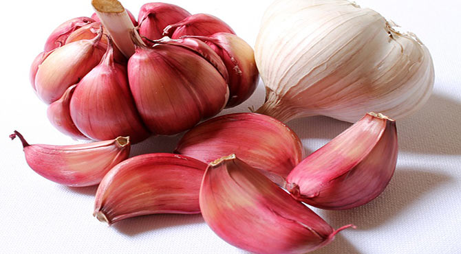 Wonderful Health Benefits of Garlic in Hindi