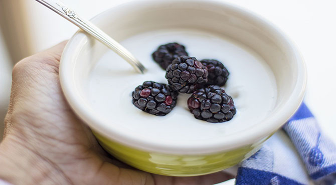 Yogurt Meaning and Benefits in Hindi