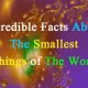 Smallest Things in The World in Hindi