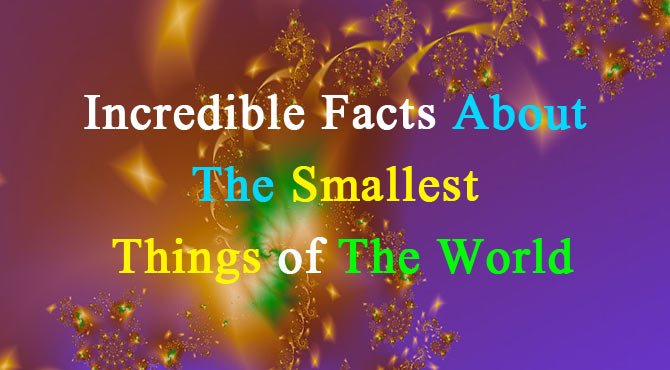 Smallest Things in The World in Hindi